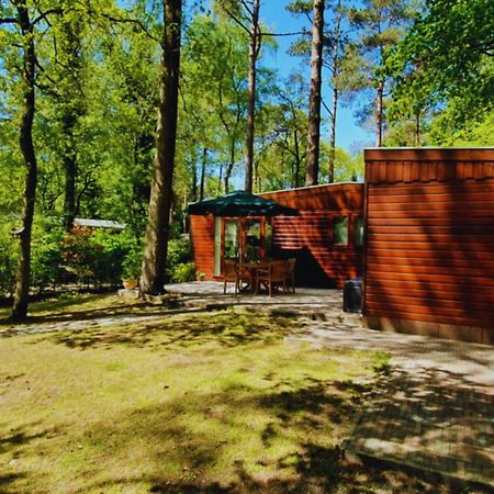Wooden Nature Chalet - Dennenrhode Doornspijk Villa Bagian luar foto