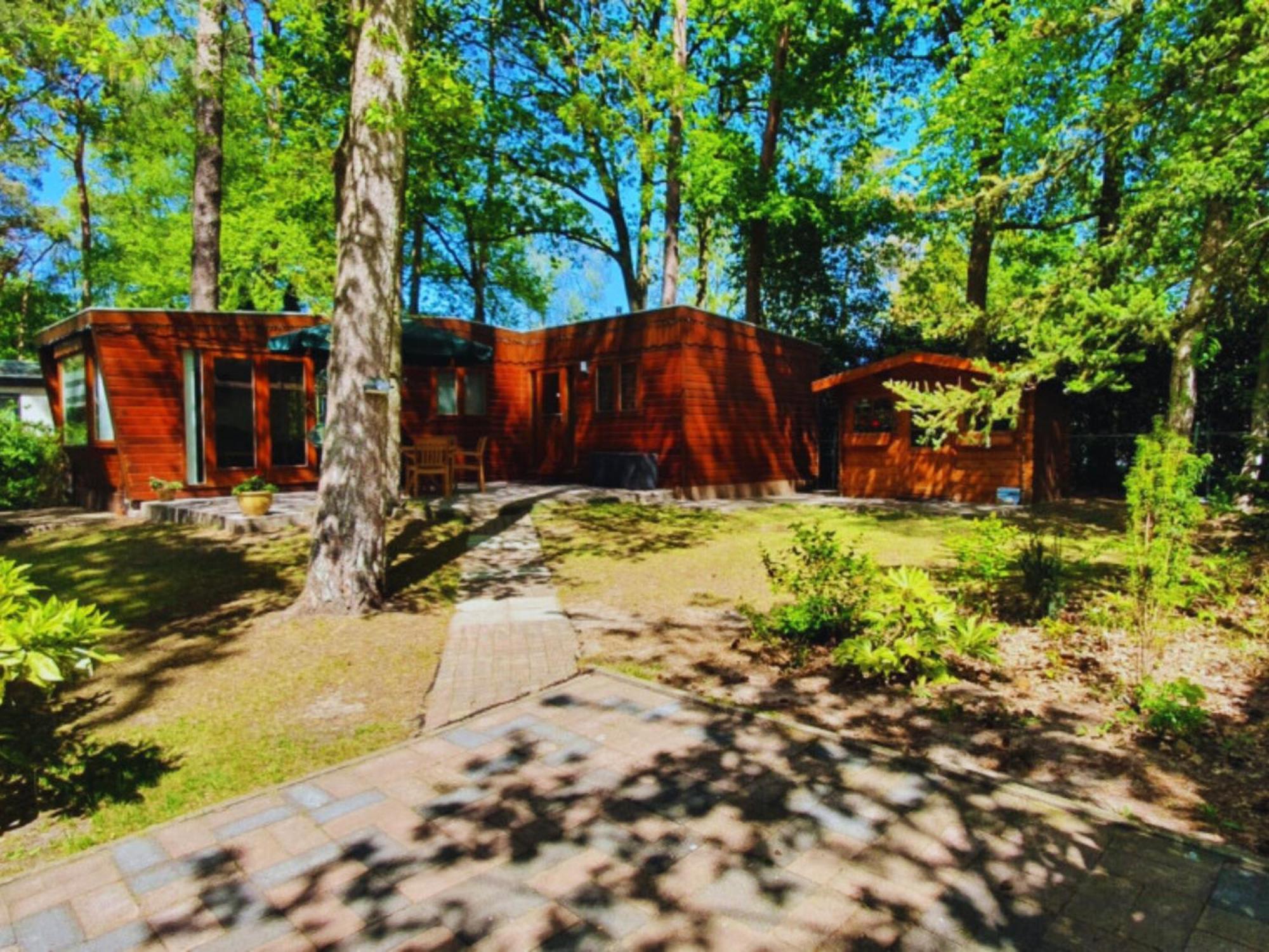 Wooden Nature Chalet - Dennenrhode Doornspijk Villa Bagian luar foto